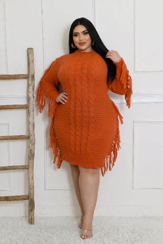 28071XP - KNIT FRINGE TRIM LS DRESS (PLUS)